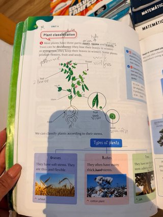 Libros de texto 4 Primaria Edelvives