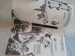 Fumetti David Mack Kabuki giappone