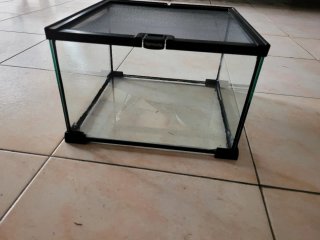 Terrario Komodo