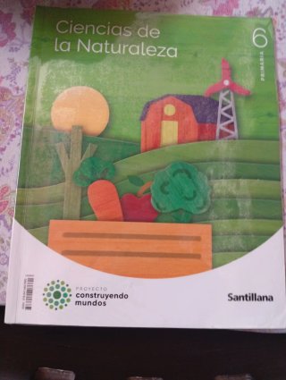 Libros de Santillana de Sesto de primaria