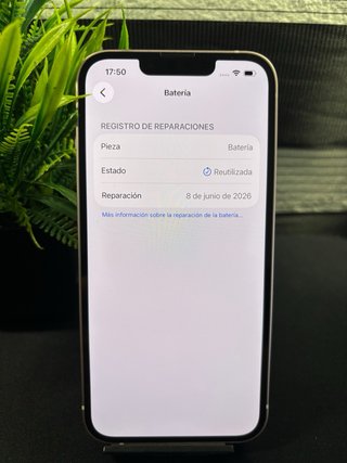 iPhone 13 256Gb / 100% / Como Nuevo