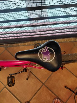 Bicicleta infantil 20 pulgadas con marchas