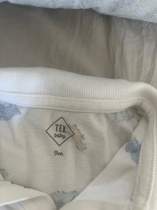 Polos de niño dinosaurios y azuls