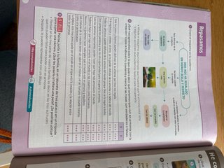 Religión Católica, 6 Primaria, Edén, Revuela