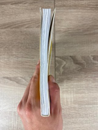 El diario gatuno de Junji Ito: Yon y Mu