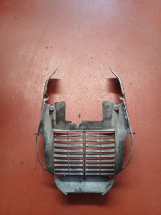 Protector radiador C650GT 2014