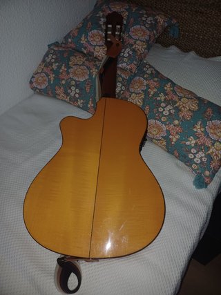 Guitarra Alhambra F3 CT-E1