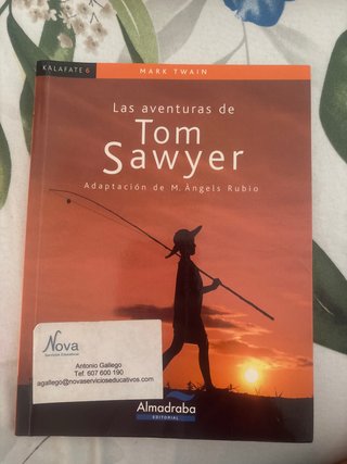 Las aventuras de Tom Sawyer
