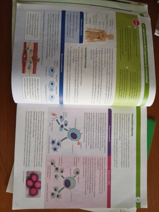BIOLOGIA Y GEOLOGIA C-LEON 3 ESO CONSTRUYENDO M...