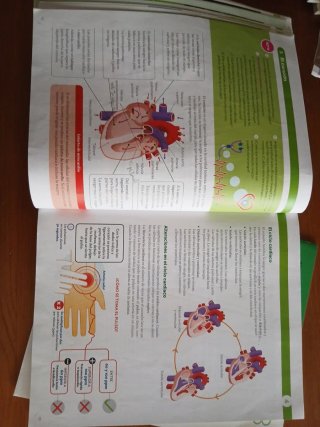 BIOLOGIA Y GEOLOGIA C-LEON 3 ESO CONSTRUYENDO M...