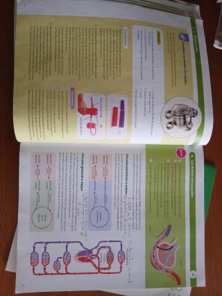 BIOLOGIA Y GEOLOGIA C-LEON 3 ESO CONSTRUYENDO M...
