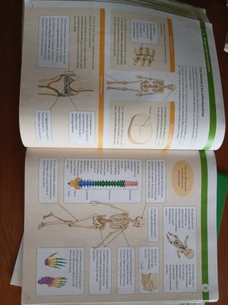 BIOLOGIA Y GEOLOGIA C-LEON 3 ESO CONSTRUYENDO M...