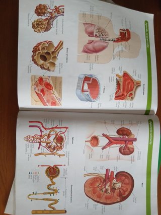 BIOLOGIA Y GEOLOGIA C-LEON 3 ESO CONSTRUYENDO M...