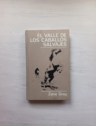 libro llamado el valle de los caballos salvajes