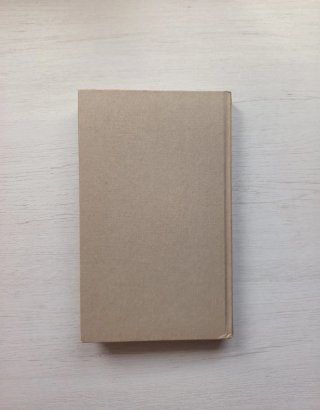 libro llamado el valle de los caballos salvajes