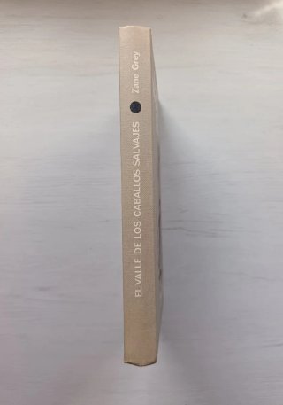 libro llamado el valle de los caballos salvajes