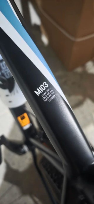 Bicicletta Canyon M103