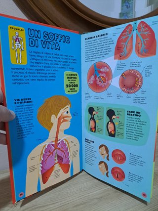Libro gioco costruisci il tuo scheletro