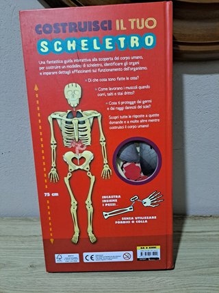 Libro gioco costruisci il tuo scheletro