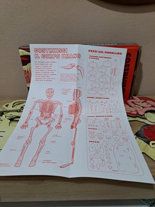 Libro gioco costruisci il tuo scheletro