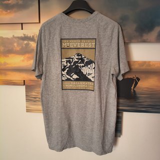 T-shirt The North Face Grigia Uomo L