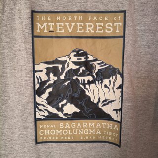 T-shirt The North Face Grigia Uomo L