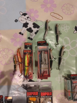Señuelos Rapala variados