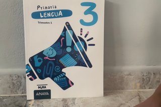 Lengua 3