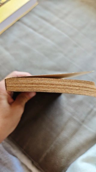 Libro "Viaje a Sodoma" - Mercedes Salisachs