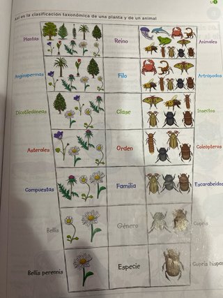 Libro 1 ESO BIOLOGÍA ANAYA 9788414306208