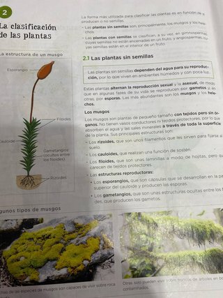 Libro 1 ESO BIOLOGÍA ANAYA 9788414306208