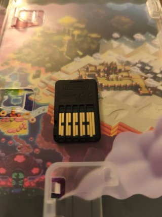 Super Mario Bros Wonder Switch