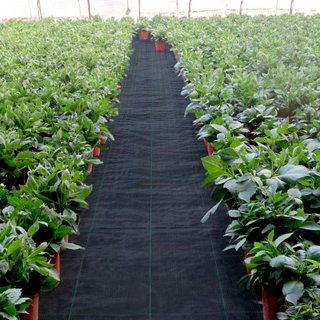 Barrera de Malezas, Tela de Paisaje de 5.8oz, Mat de Cubierta de 3ft x 300ft, Geotextil de Control de Césped de Alta Resistencia para Jardín, Patio, Negro