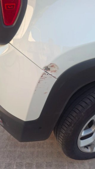Jeep Renegade 2016