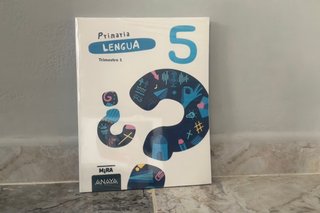 Lengua 5