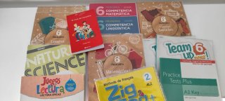 Lote libros 6 primaria GSD
