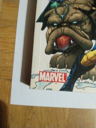 Marvel Team Up