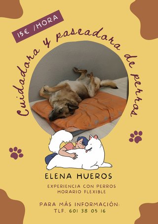 Cuidadora y paseadora de perros
