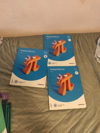 Matemáticas, 3 ESO, Proyecto construyendo mundos