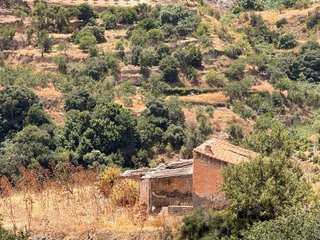 Terreno con cortijo en Gualchos para restaurar