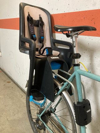 Cadira infantil bicicleta Thule RideAlong 2 + supo