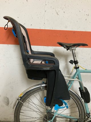 Cadira infantil bicicleta Thule RideAlong 2 + supo