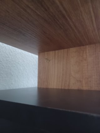 Librería Icardi moderna con tara