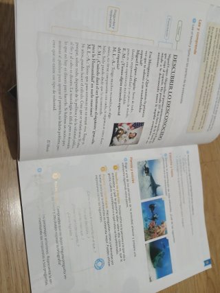 Lengua 4 primaria Savia- los 3 Trimestres