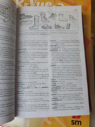 Diccionario LATIN- ESPAÑOL
