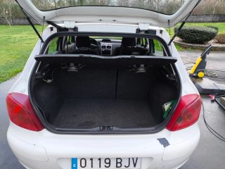 Peugeot 307 2.0