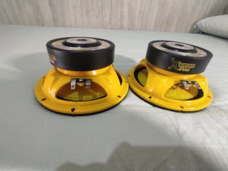 Altavoces Pyle PLG 64 300W