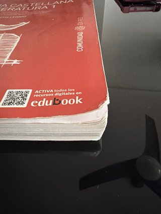 Lengua castellana y literatura 1 Bachillerato
