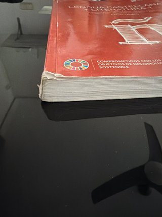 Lengua castellana y literatura 1 Bachillerato
