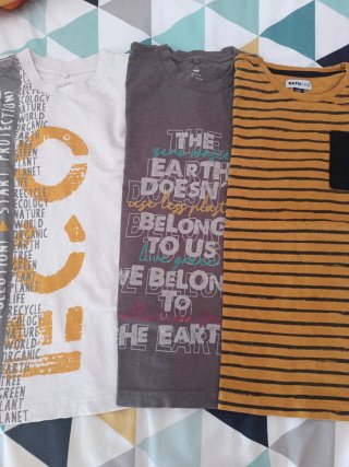 Lote 4 Camisetas Niño Talla 10